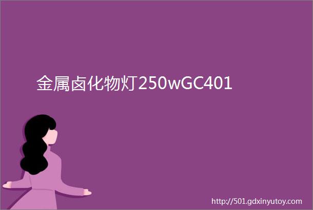 金属卤化物灯250wGC401